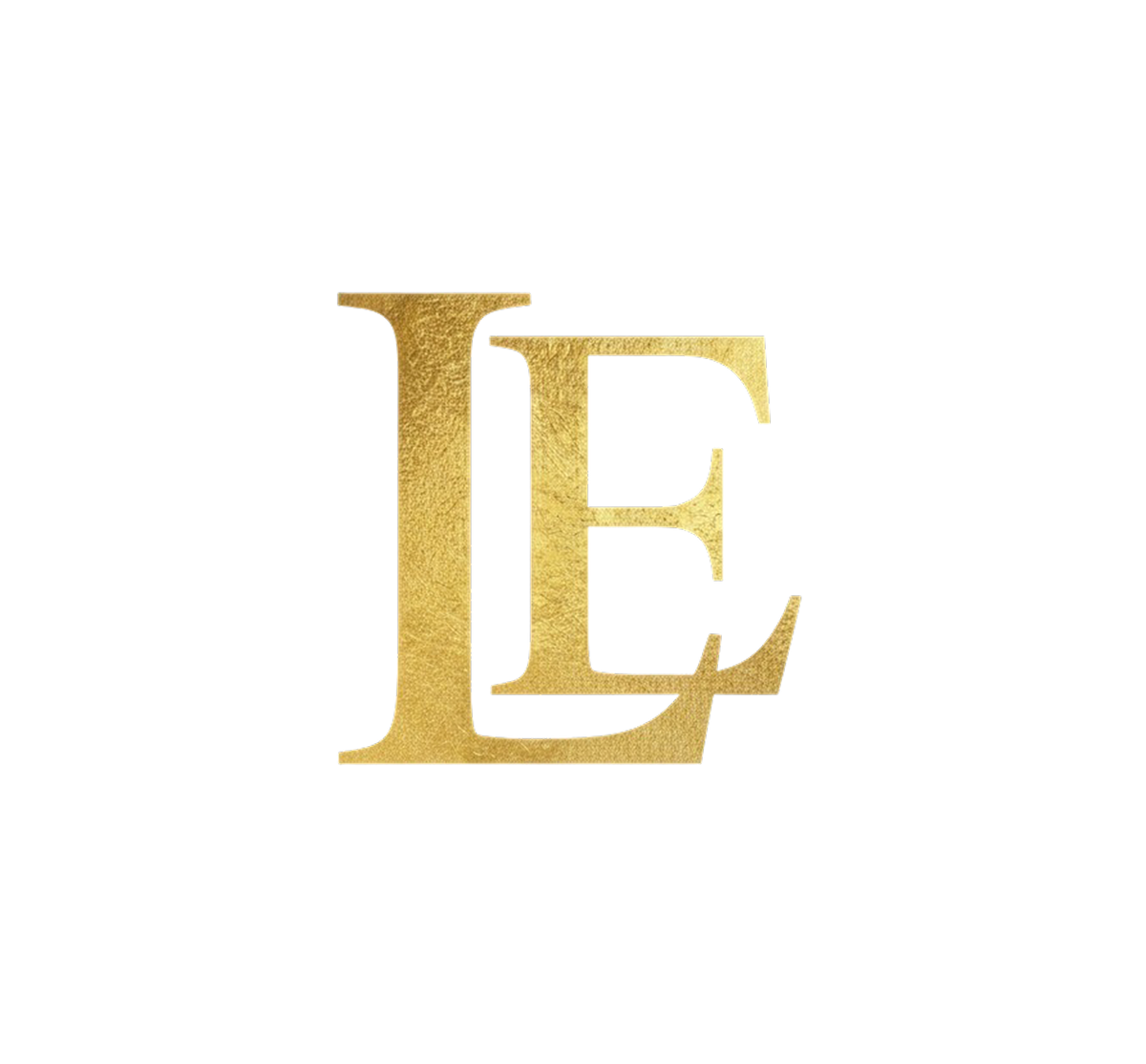 luxury and elegant leatherl ogo